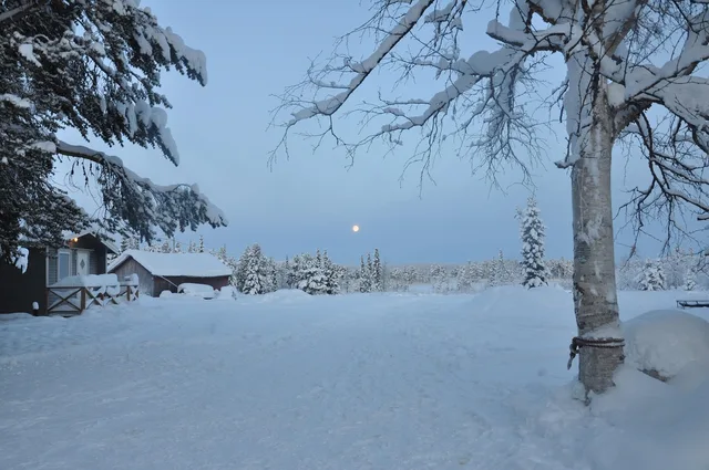 sweden, sverige, winter, winter landscape, snow landscape, frost, cold, sverige, sverige, sverige, sverige, sverige. Hur skiljer sig konsumtionen mellan stad och landsbygd?
